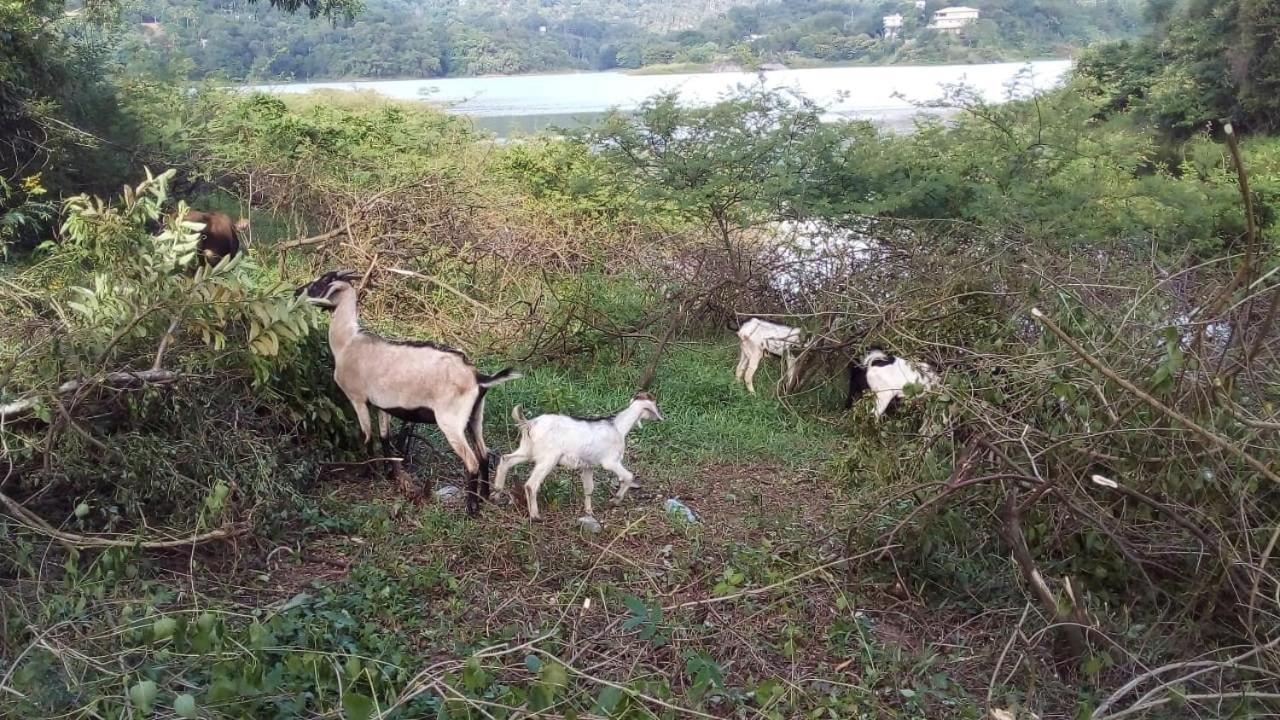 Victoria Views Resort Kandy Digana Εξωτερικό φωτογραφία