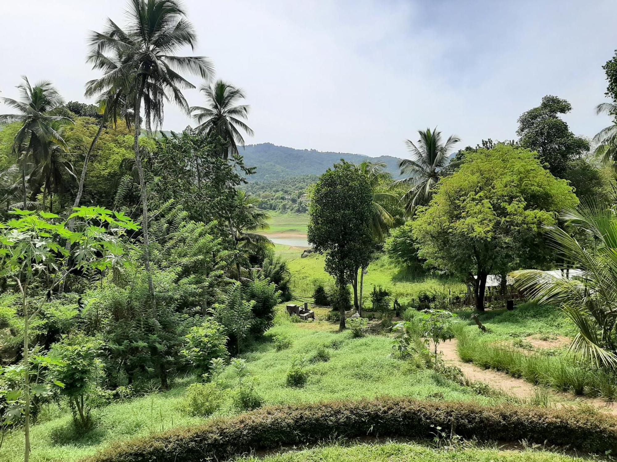 Victoria Views Resort Kandy Digana Εξωτερικό φωτογραφία